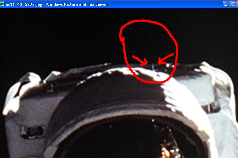 buzz2.jpg
