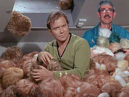 tribbles2.jpg