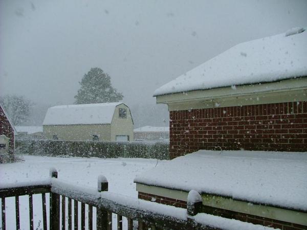pics_013.jpg