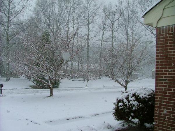 pics_018.jpg